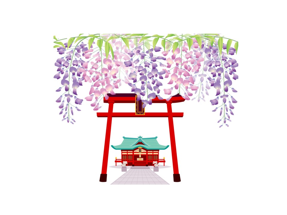 亀戸天神の藤まつり