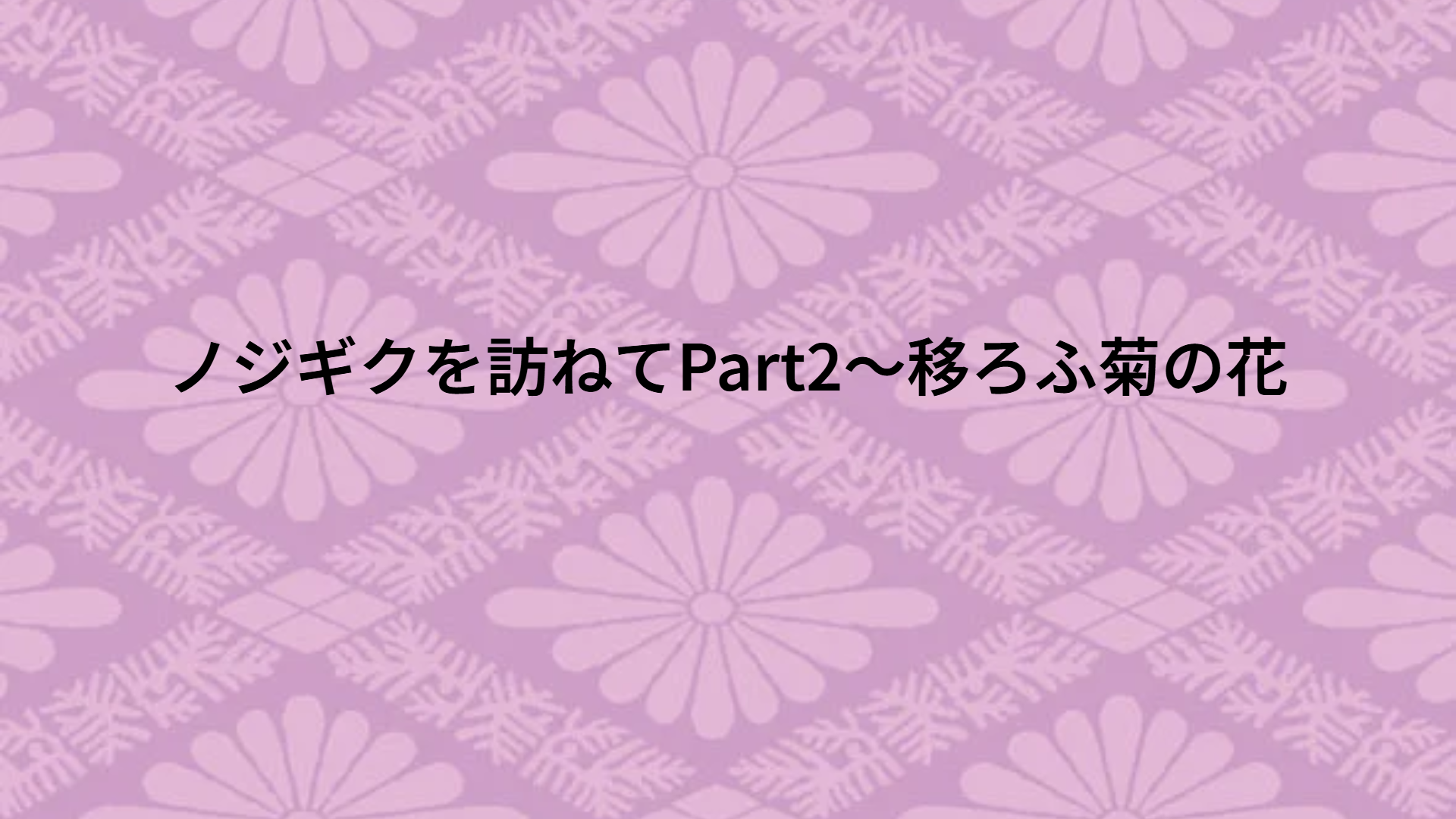 ノジギクを訪ねてPart2～移ろふ菊の花