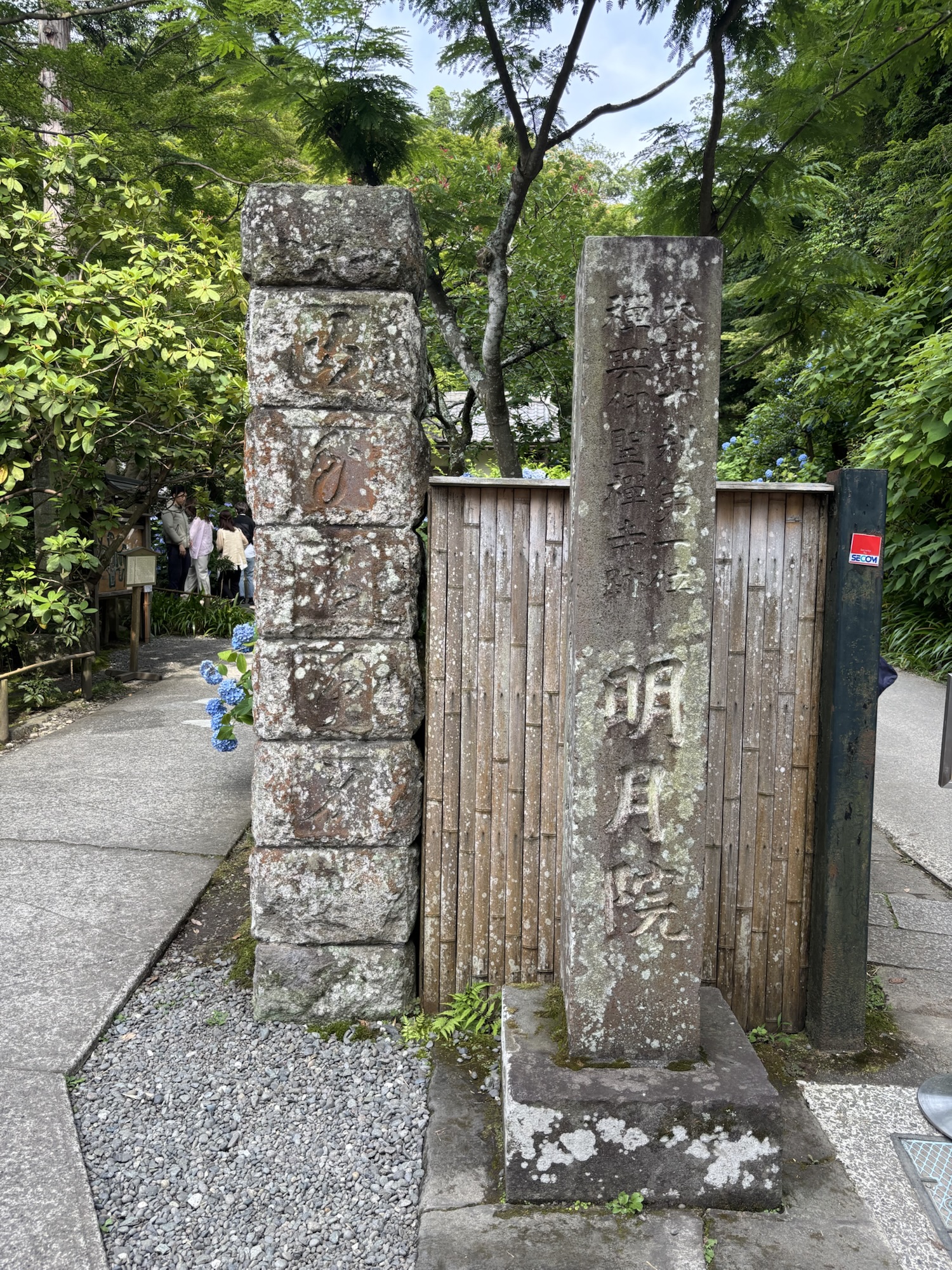紫陽花の寺